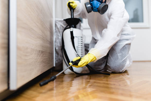 Insect Control in Glen Gardner, NJ