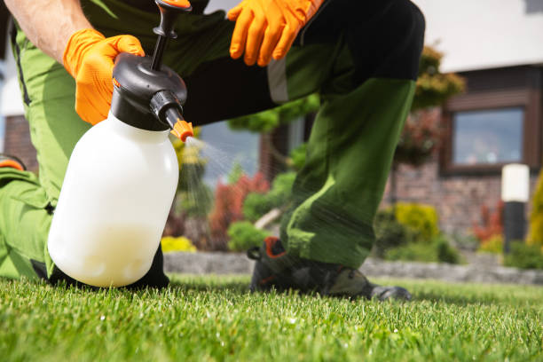 Best Pest Control Near Me  in Glen Gardner, NJ
