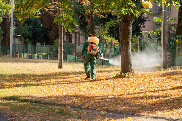 Reliable Glen Gardner, NJ Pest Control Solutions