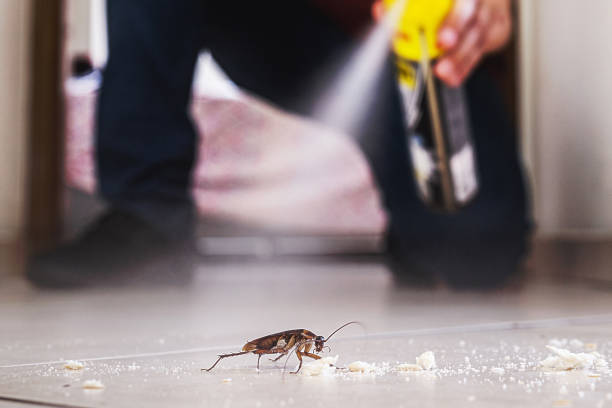 Best Wildlife Control Services  in Glen Gardner, NJ