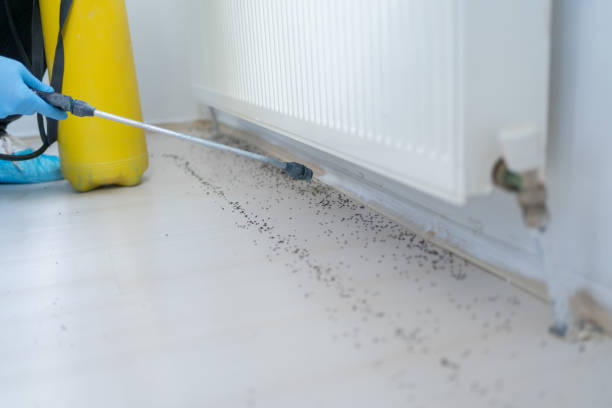 Pest Prevention Services in Glen Gardner, NJ